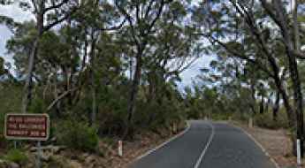 Mt Victory Road
