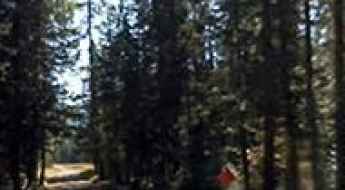 Sullivan Mountain