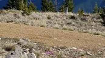Hogback Mountain
