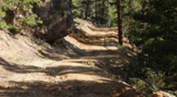 Sawmill Mountain