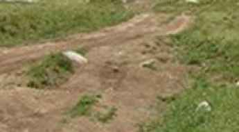 Woodchuck Pass