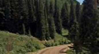 Trappers Lake