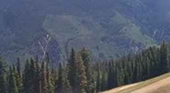 Aspen Mountain