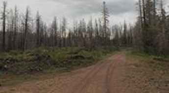Bearwallow Mountain