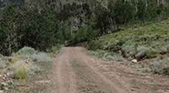 Cove Mountain