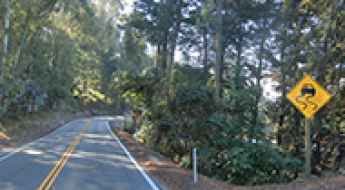 Hecker Pass