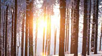 The Best Places in USA to Visit for Fun Outdoor Winter Activities