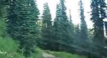 McCord Pass