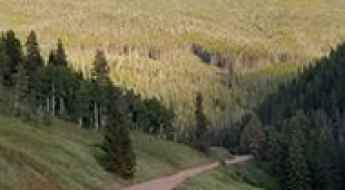 Piney Lake