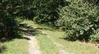 Grassy Mountain