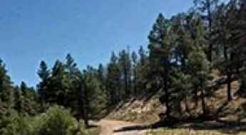 Terry Flat