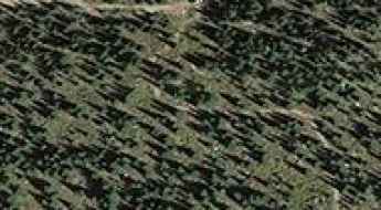 Chicoma Mountain