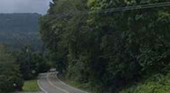 Dosewallips River Road