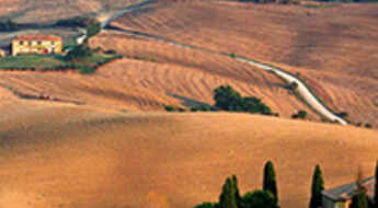 Tuscan Travels:  Following the "Strada del Vino" Through Sun-Kissed Sienna Hills
