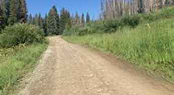 County Road 50