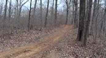 Mill Creek Trail