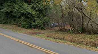 Fire Trail Road