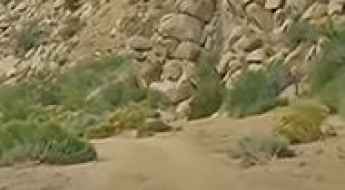 Macedonia Canyon Road