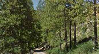 Tobin Ridge Road