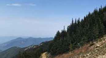 Crystal Mountain