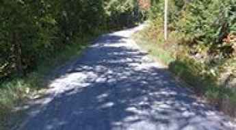 Elk Lake Road