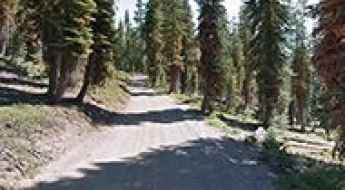 Juniper Lake Road