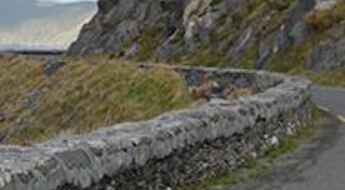 Safety Tips for Slea Head Drive in Ireland
