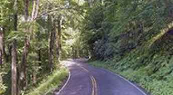Route 32 in TN