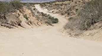 Grapevine Hills Road