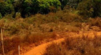 Ring Road of Cameroon