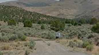 Bald Mountain