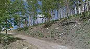 Buck Mountain
