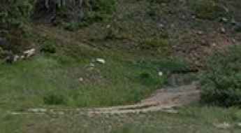 Golden Bear Peak