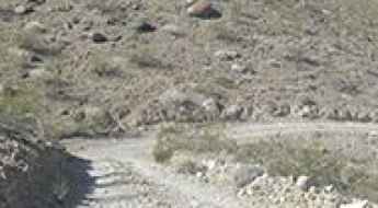 Johnson Canyon Road