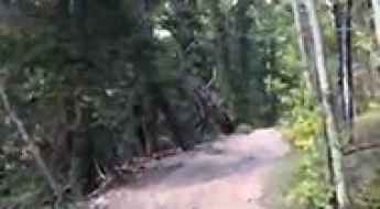 Browns Pass 