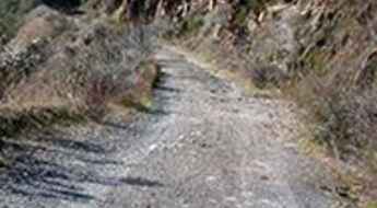 Bull Creek Road (Burma Grade Trail)