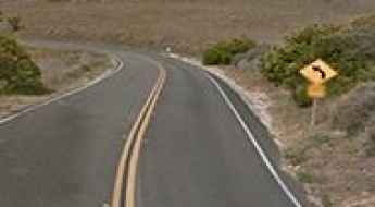 Corral Canyon Road