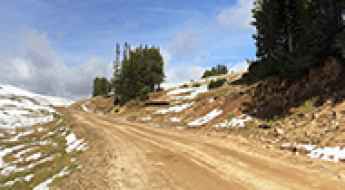 Daisy Pass