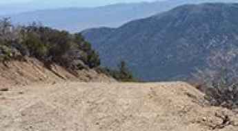 Palmetto Mountain