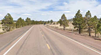 Arizona State Route 273