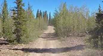 Forest Road 132