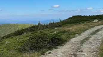Vladeasa Peak