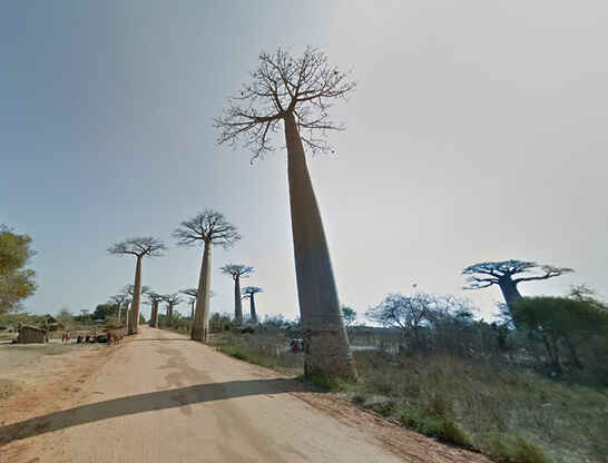 The real Madagascar — via the world's most dangerous road