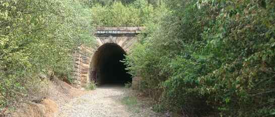 The cursed Mushroom Tunnel of Picton
