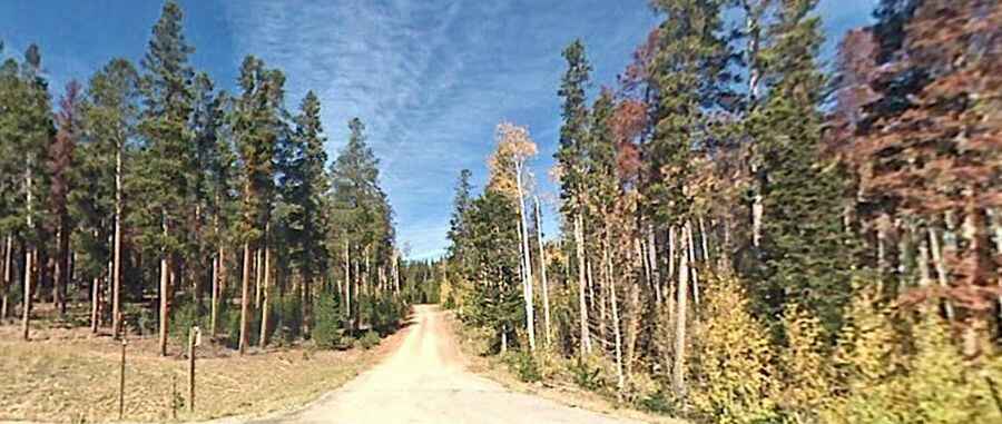 Forest Service Road 447