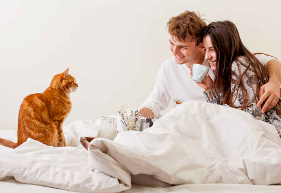 How to Choose the Right Accommodation When Travelling with Pets