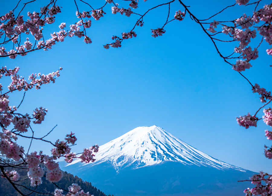 A Road Trip Through Japan: Top Routes to Explore