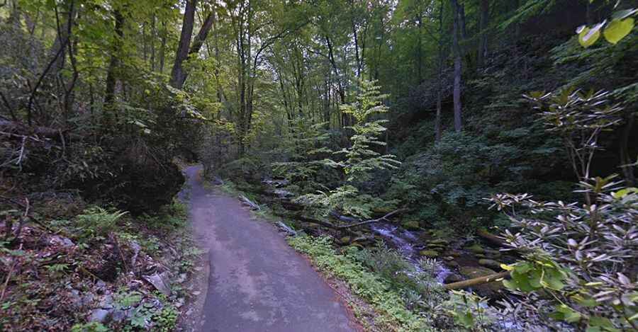 Roaring Fork Motor Nature Trail