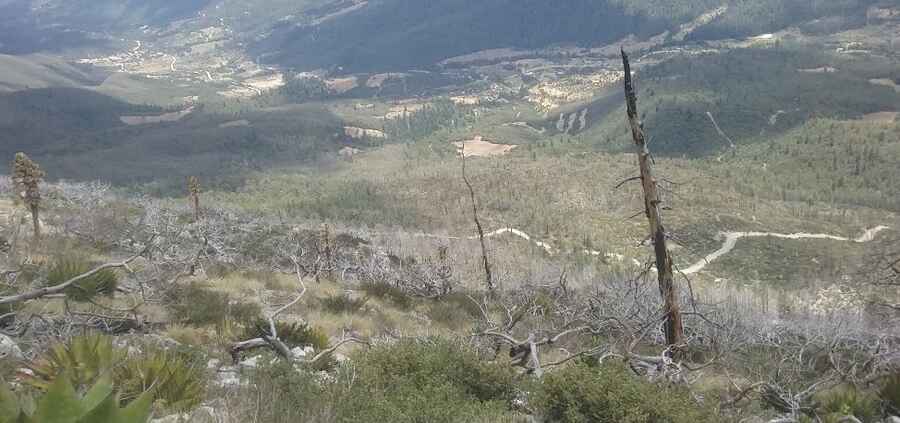 The wild road to Cerro de la Viga