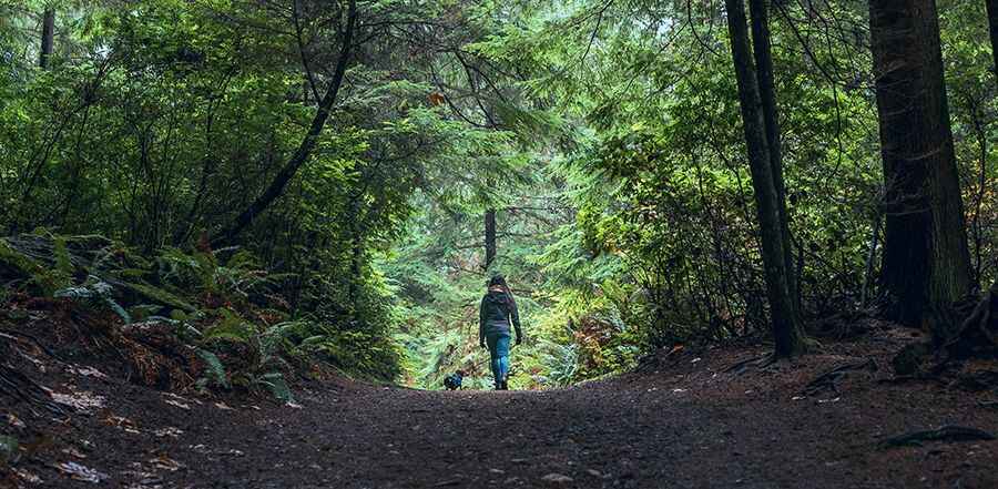 Top 5 Hiking Trails in the USA to Improve Your Well-Being and Relationship